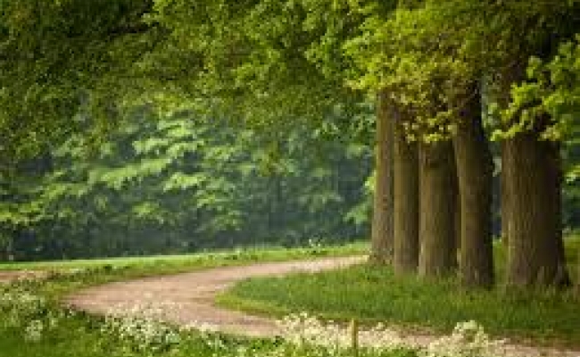 Hoe je je volgens TCM het beste voorbereidt op de lente