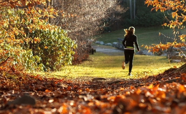 Conseils TCM pour les sportifs